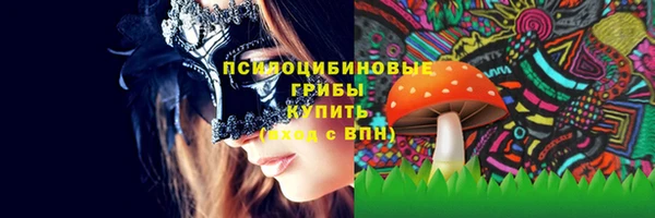 дурь Арсеньев