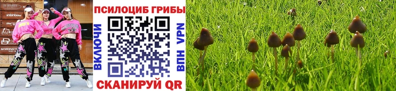 Галлюциногенные грибы ЛСД  Горячий Ключ 